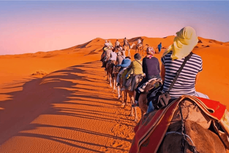 Morocco Daily Trip Experience