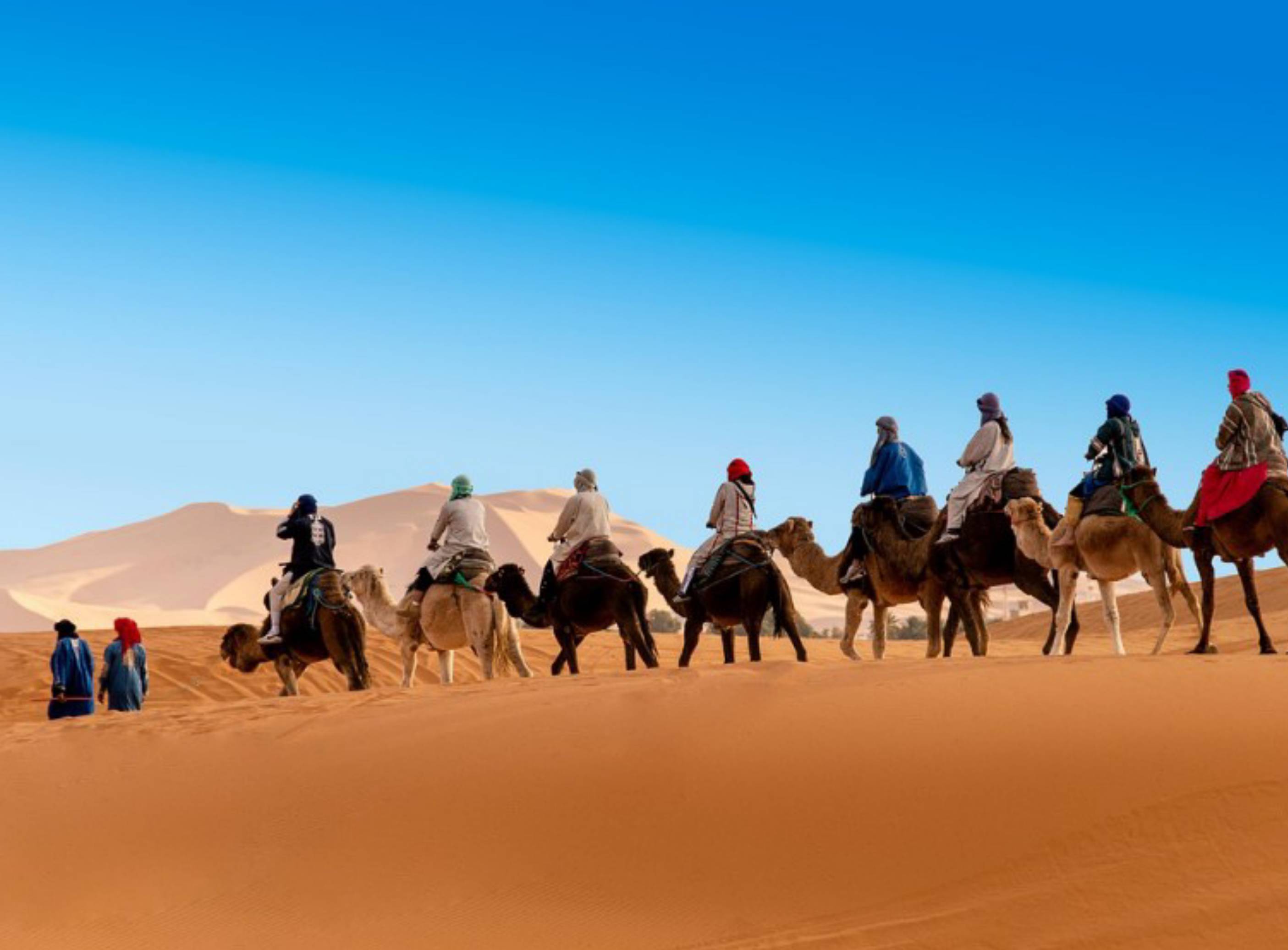 Shared Morocco Tours